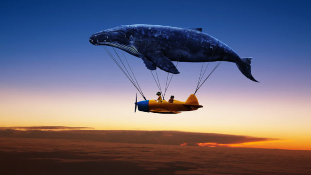 未分類 リウマチ改善ブログ 完治へgo Go